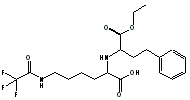 CAS  :: N2-[(1S)-Ethoxycarbo