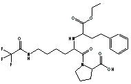 CAS  :: 1-[N2-((S)-ethoxycar